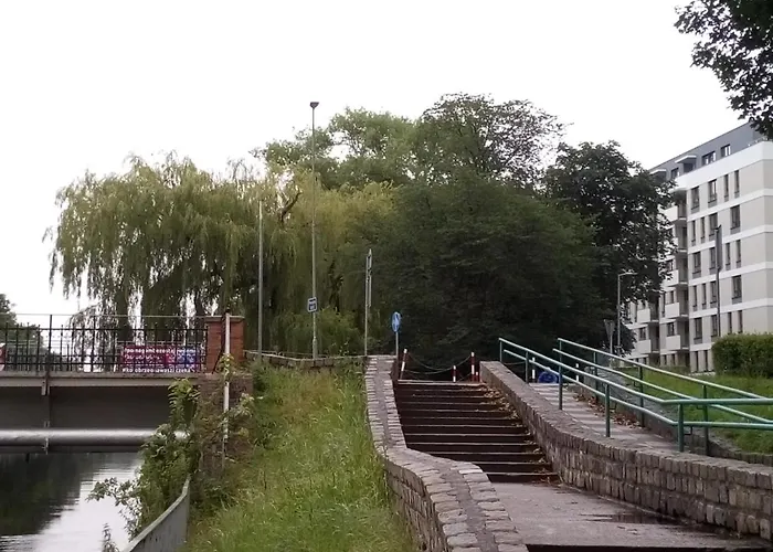 Szmaragdowy Platan *