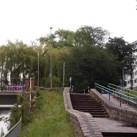 Szmaragdowy Platan *